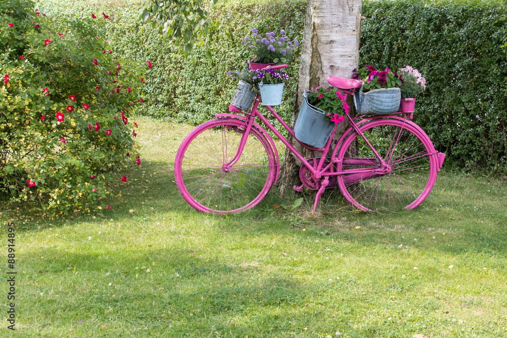 pink bicycle / A pink bicycle with flowers stands as a decoration in the garden