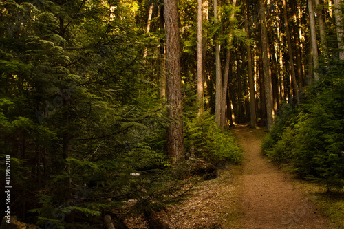 Midway disk golf throw. 