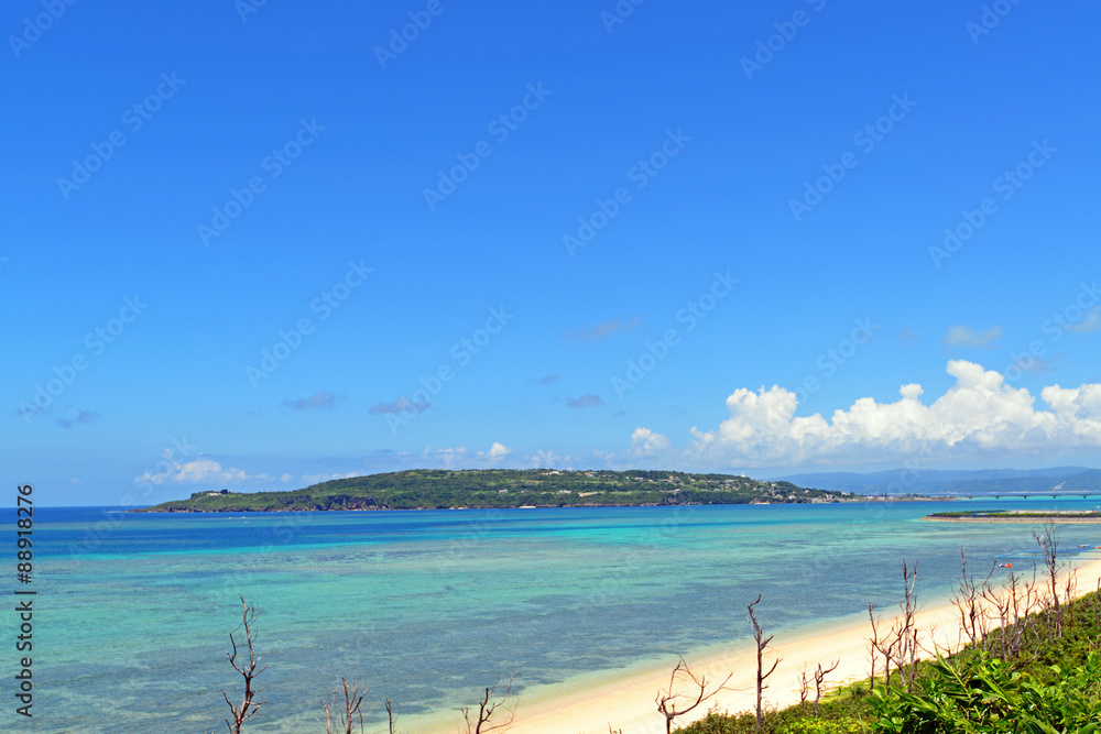 Fototapeta premium 沖縄の美しい海
