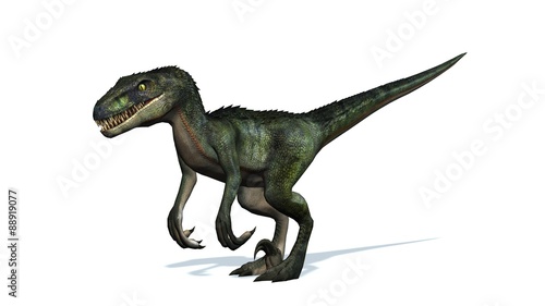 velociraptor dinosaurs - isolated on white background © Riko Best