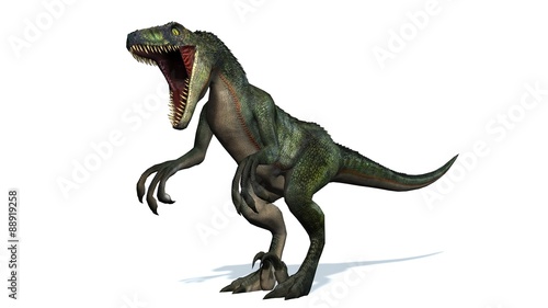 velociraptor dinosaurs - isolated on white background photo