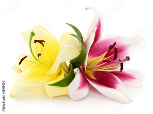 Fototapeta Naklejka Na Ścianę i Meble -  Two lilies.