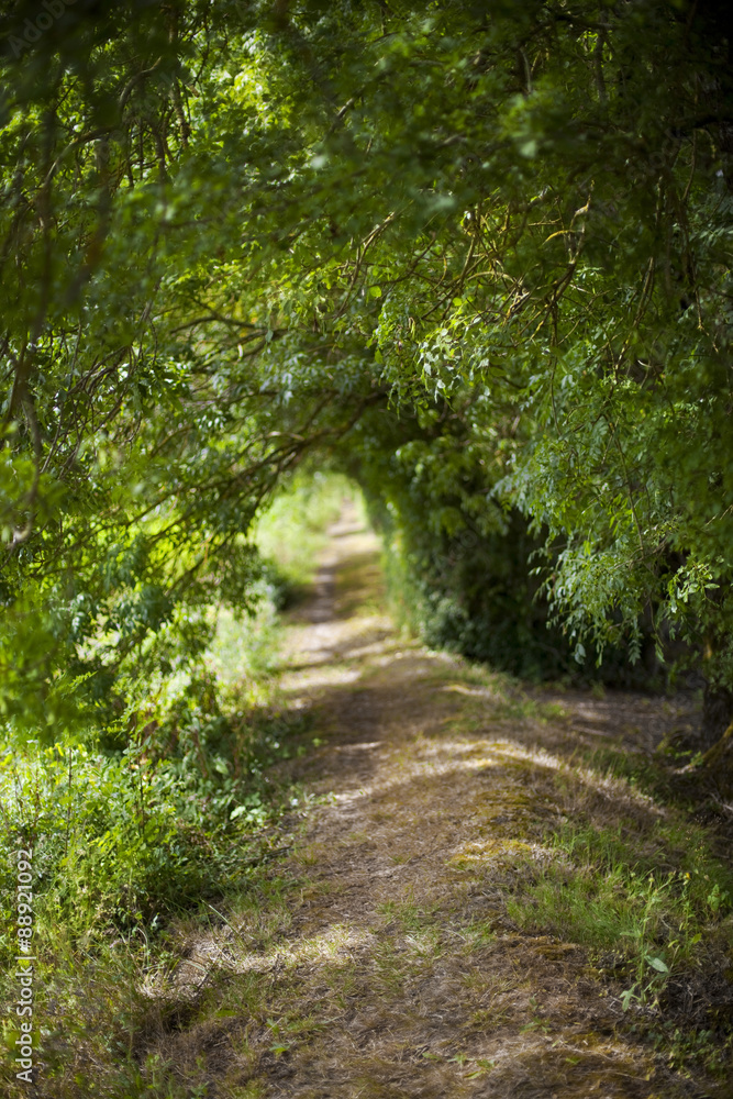 Path Path