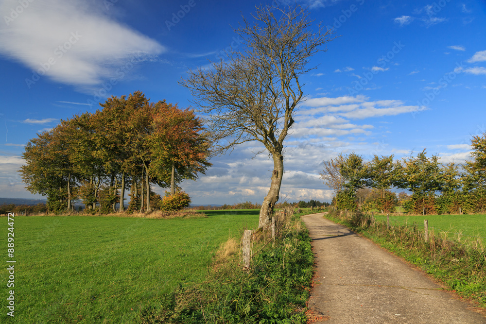 In der Eifel