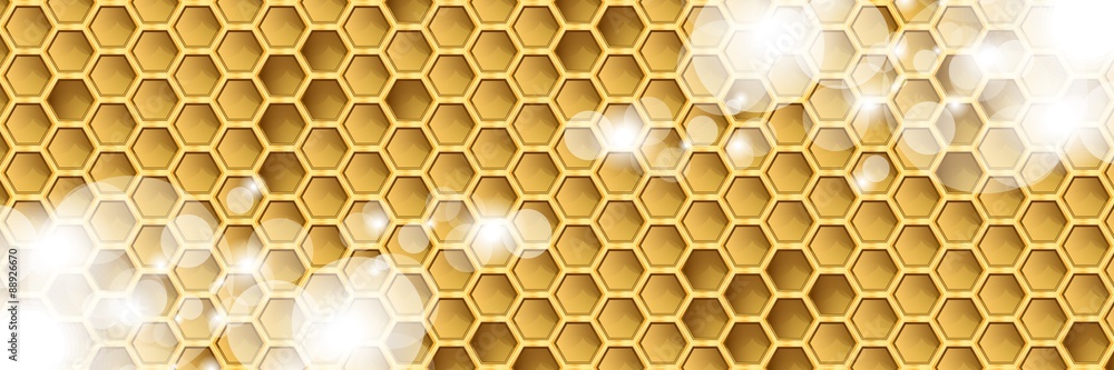 Bienenwabe | Hintergrund Bienenwabe | Hintergrund