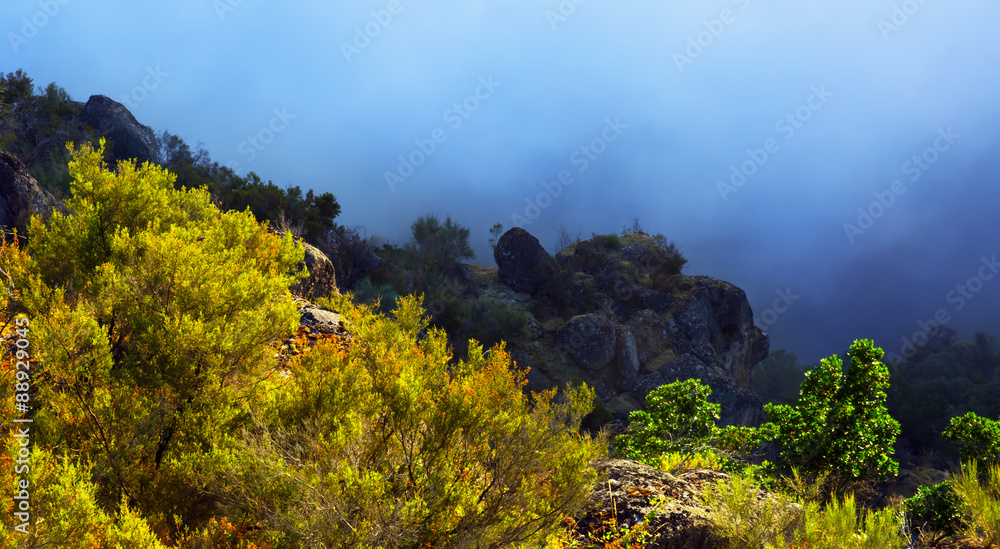 Fototapeta premium Fog at mountains