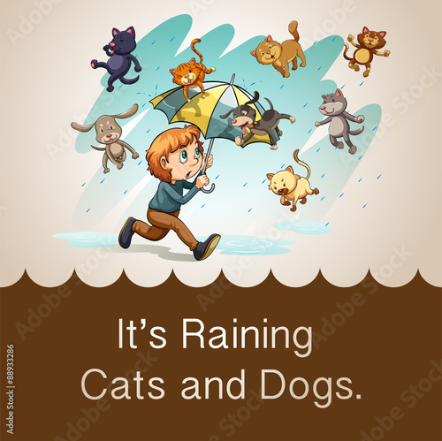 It's raining cats and dogs