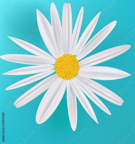 Vector Dairy Flower Icon