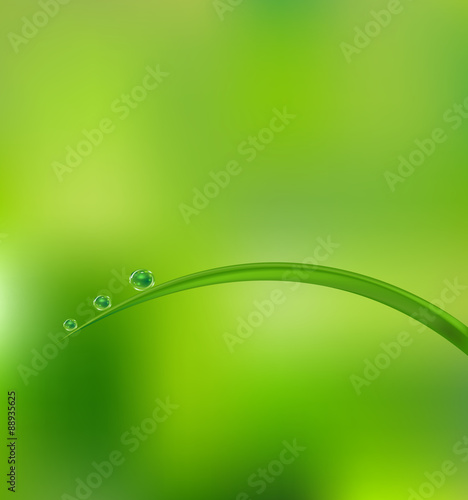 Vector Realistic Water Droplet on Grass