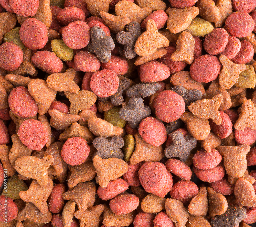 Close view of generic dry cat food Close view of generic dry cat food