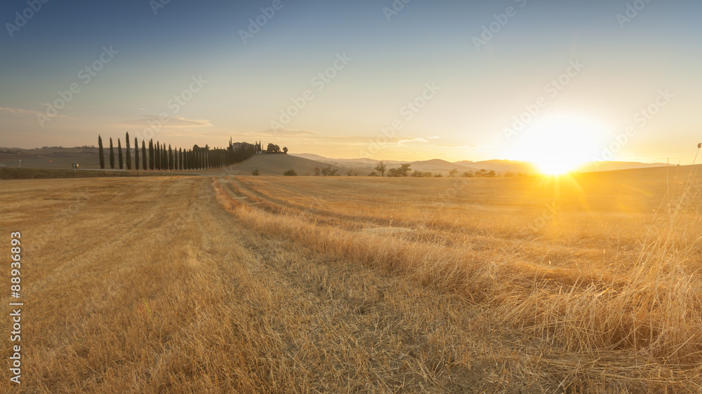 Tuscan fields at sunrise