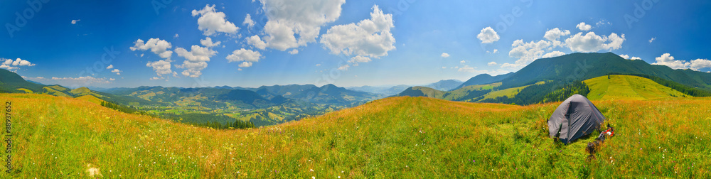 Panoramic view of green alpine meadow with tourist tent