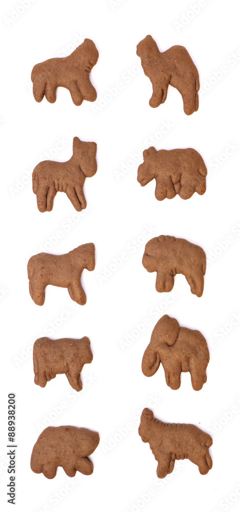 Fototapeta premium Animal Crackers