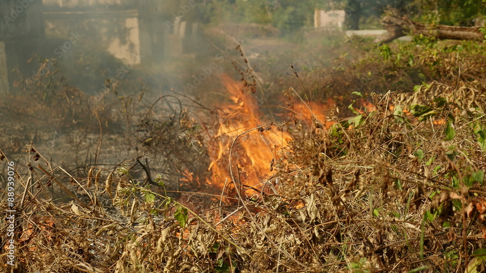 Burning off dry grass to prepare land for future use Burning off dry grass to prepare land for future use