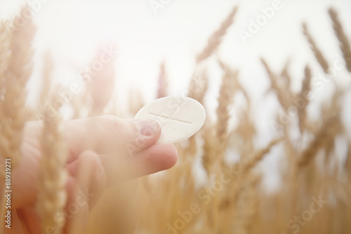 Male hand holding a eucharist with ears of corn in the field and sunset in the background
