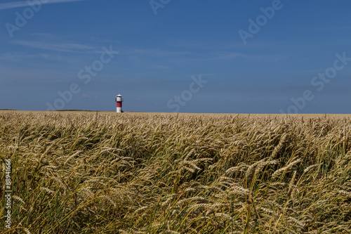 Lighthouse in the fields