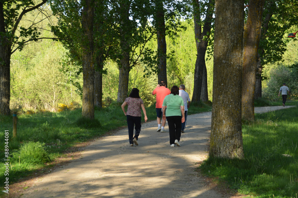 caminando por el campo