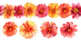 A set of watercolour floral design elements