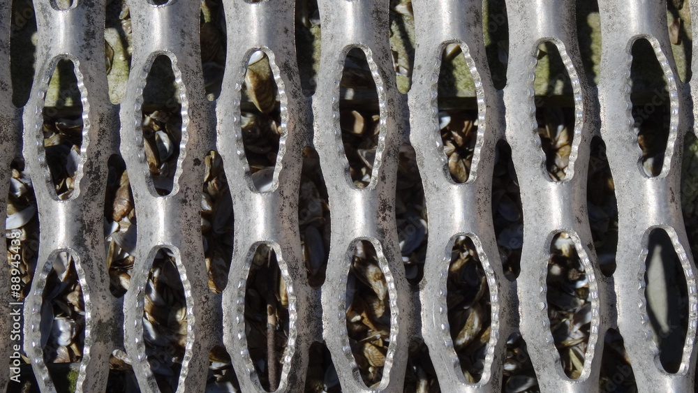 Fototapeta premium Metallgitter