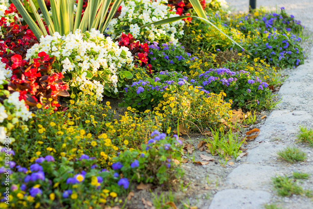 Fototapeta premium Blumenbeet im Stadtpark im Morgenlicht