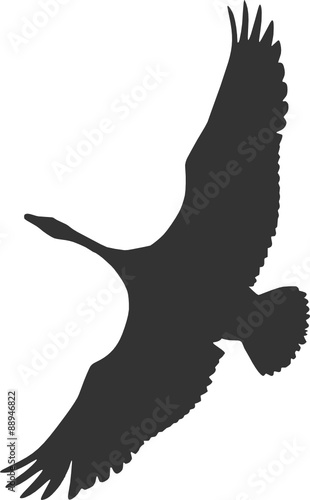Schwan im Himmel - Vektor
