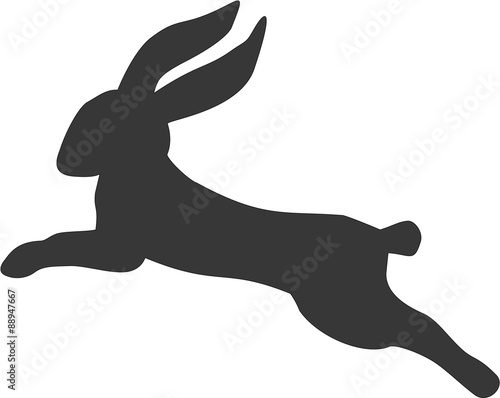 Jumping rabbing
