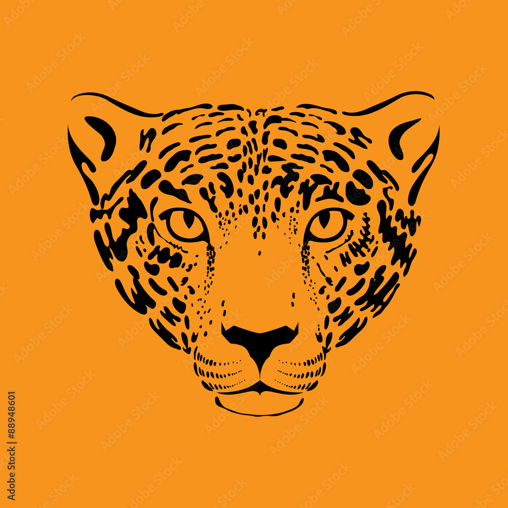 Fototapeta premium Leopard, jaguar