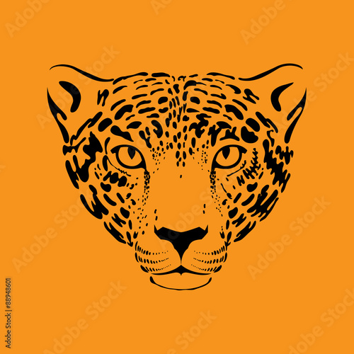 Leopard, jaguar