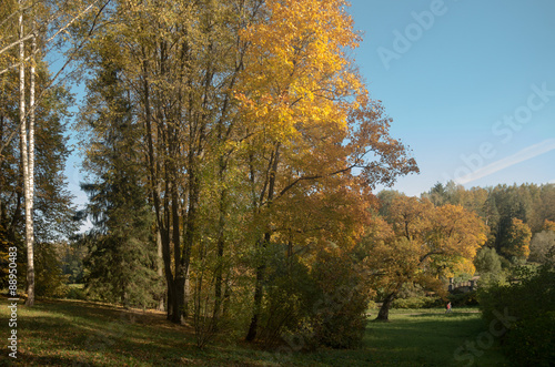 Autumn sunny landscape of North-West Russia 