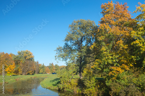 Autumn sunny landscape of North-West Russia 