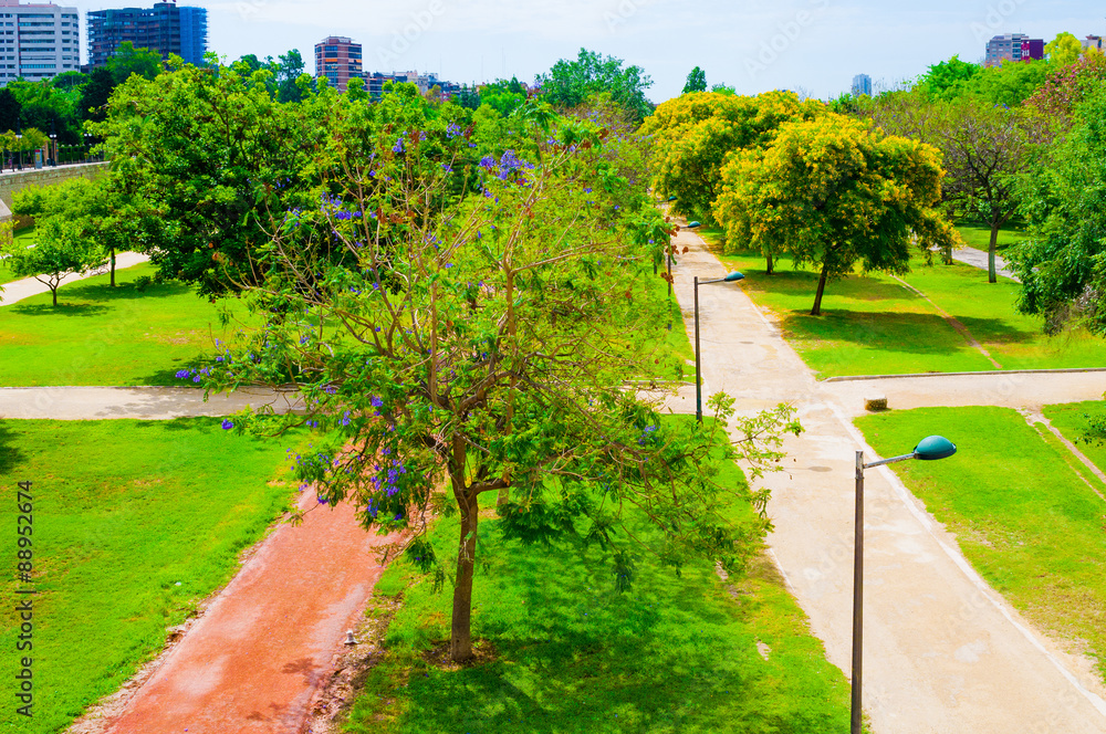 Naklejka premium View on Turia garden in Valencia, Spain