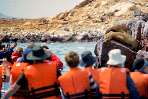 Tourists watching for fur seals, Ballestas, Peru