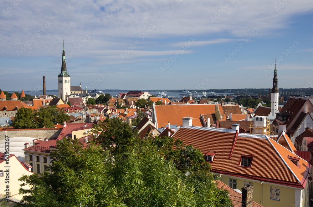 Obraz premium Old Tallinn