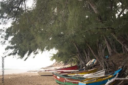 Wallpaper Mural Old rowing boats on the beach of Praia do Tofo in Inhambane, Mozambique
 Torontodigital.ca
