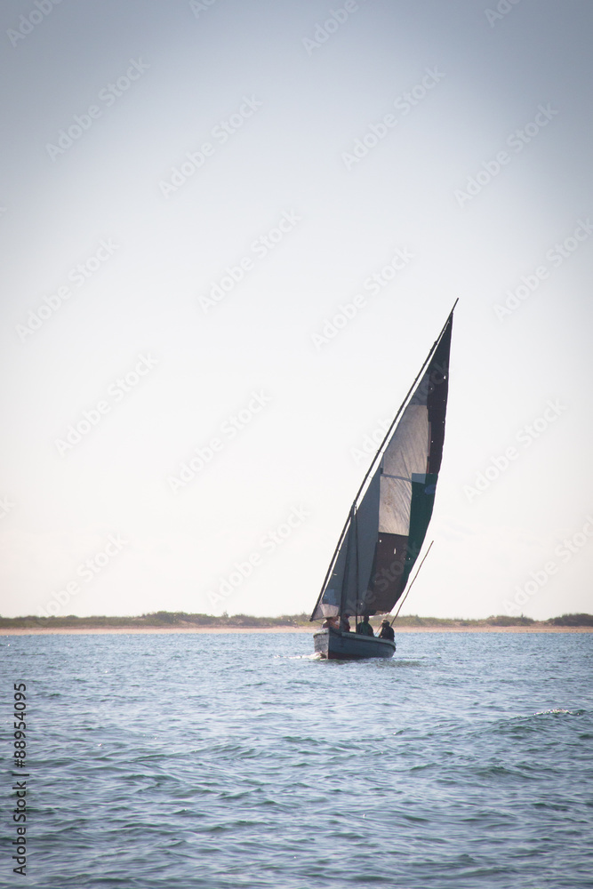 Typical boats called dhows near the coast of Barra and Praia do Tofo in Inhambane, Mozambique
Typical boats called dhows near the coast of Barra and Praia do Tofo in Inhambane, Mozambique