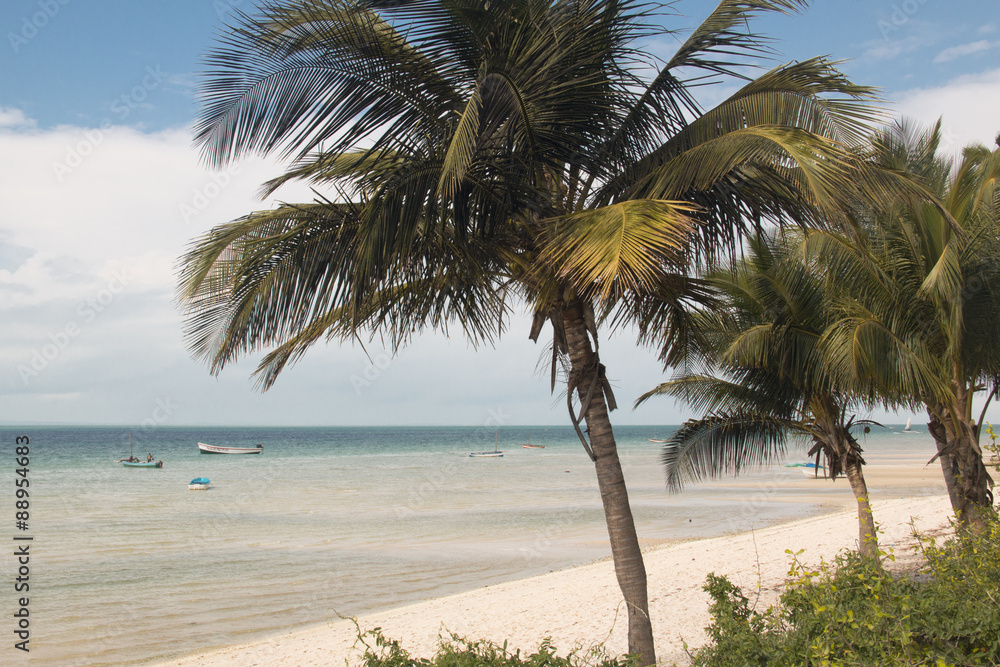 The beach of the small town of Vilanculos in Mozambique with palm trees