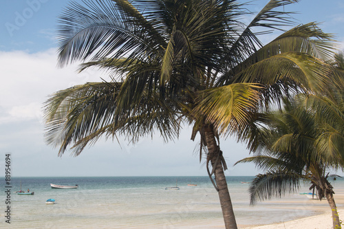 The beach of the small town of Vilanculos in Mozambique with palm trees  