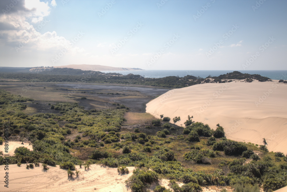 Dunes and forest near the beach on the Bazaruto Islands near Vilanculos in Mozambique