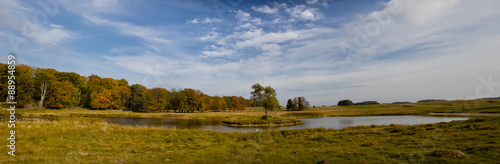 beautiful lake in Dyrehave park, Denmark
