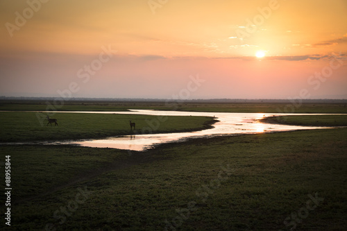 Sunset over the National Park Gorongosa in the center of Mozambique
 photo