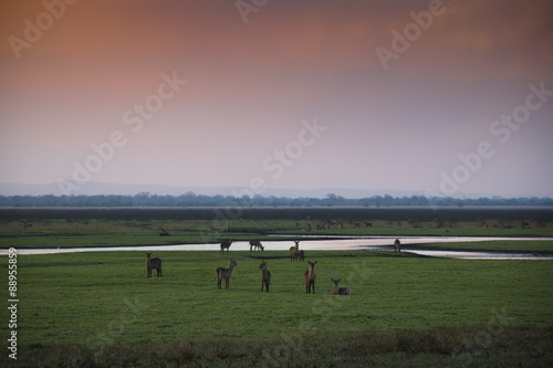 Obraz na płótnie Sunset over the National Park Gorongosa in the center of Mozambique
w salonie