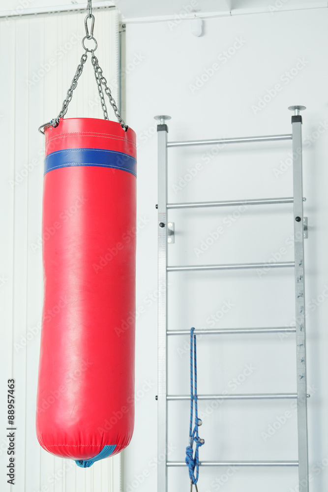 The image of a wall bars and spunching bag.