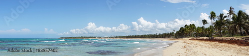 Panoramabild eines Palmenstrandes