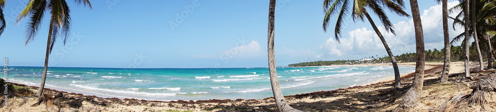 Panoramabild eines Palmenstrandes Panoramabild eines Palmenstrandes