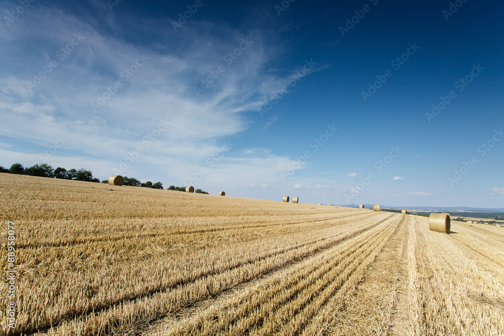 Getreidefeld abgeernted mit Strohballen und blauem Himmel