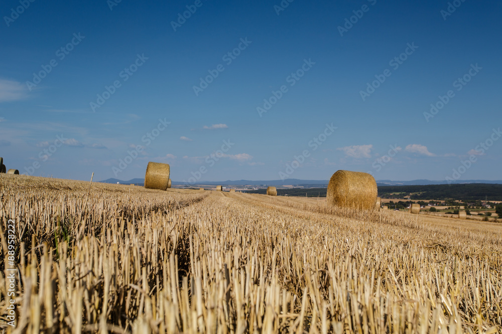 Fototapeta premium Getreidefeld abgeernted mit Strohballen und blauem Himmel