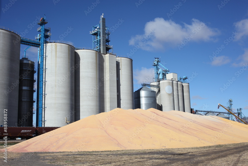 Obraz premium grain production overflow