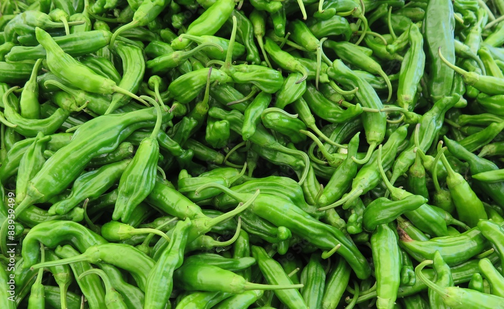 Fresh green Shishito hot peppers used for cooking spicy recipes Fresh green Shishito hot peppers used for cooking spicy recipes
