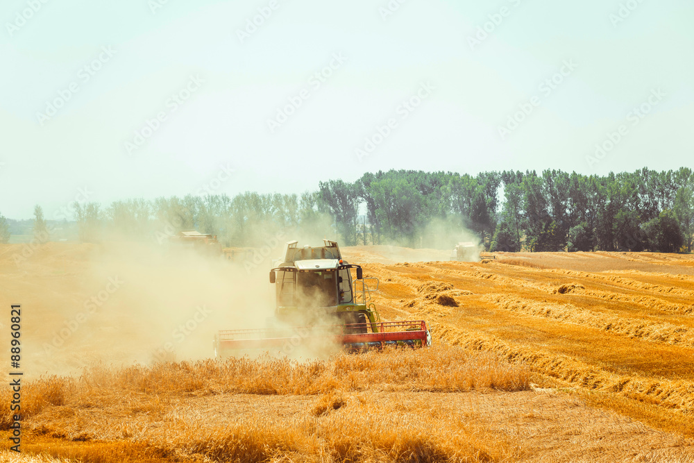 Fototapeta premium combine harvester