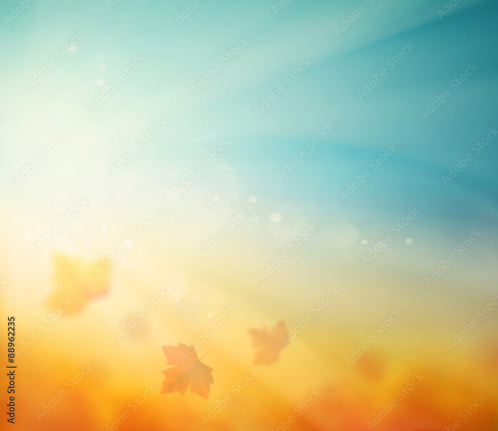 Fototapeta premium Jesienne Tło